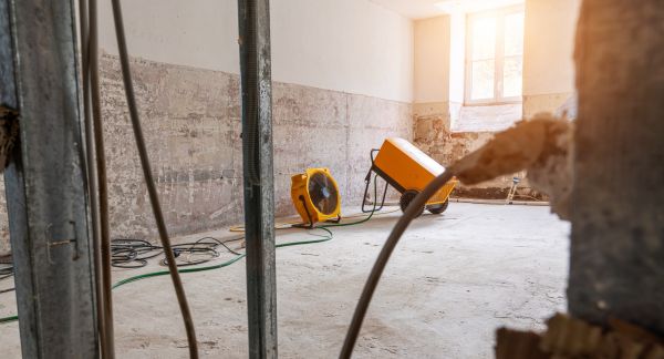 Basement Water Damage Repair in Riverview
