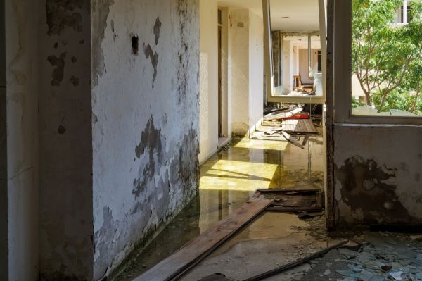 Cost of Water Removal Service in Riverview