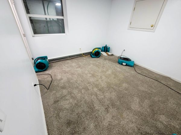 Flood Restoration Service in Riverview