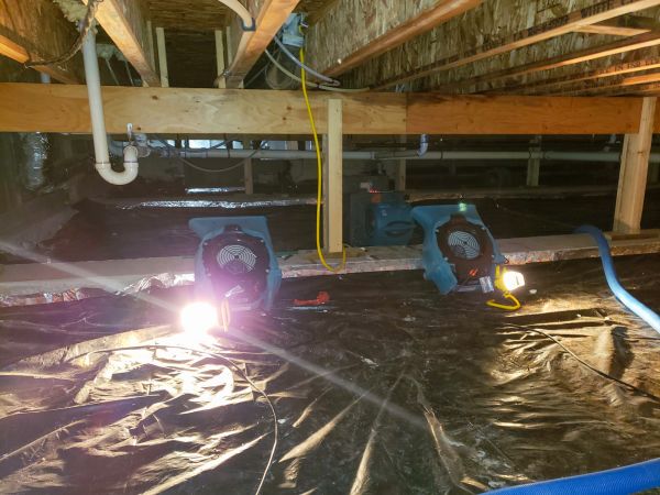 Cost of Crawlspace Water Removal in Riverview