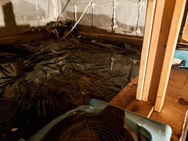 Cost of Crawlspace Water Cleanup in Riverview