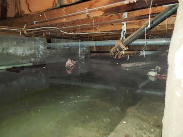 Crawlspace Water Restoration in Riverview